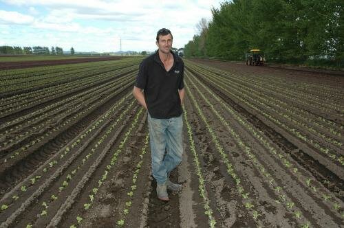 Straight lines in the paddock made Chris Butler a very happy grower